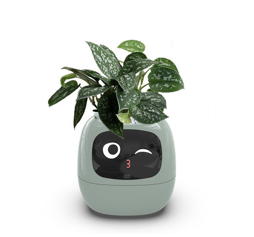 Smart Planter Endless Fun Over 49 Rich Expressions 7 Smart Sensors And AI Chips Make Raising Plants Easy And Fun